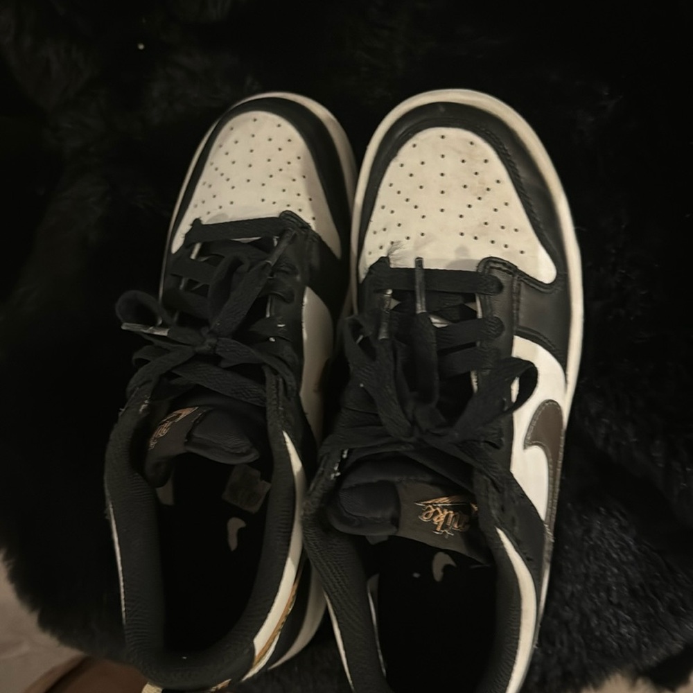 Grade school Nike Dunks Used